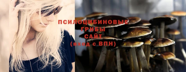 дурь Дмитровск