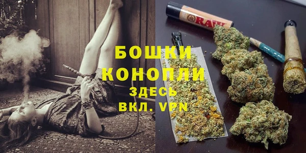 дурь Дмитровск