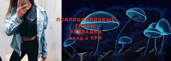мескалин Дмитриев