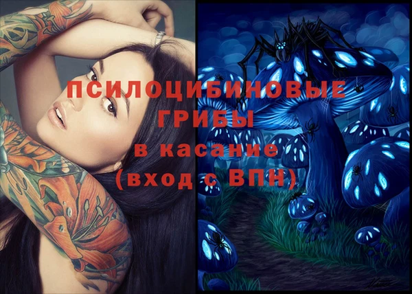 дурь Дмитровск