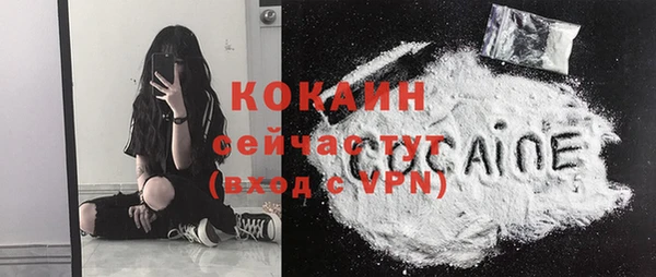 дурь Дмитровск