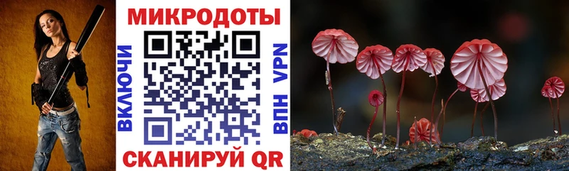 Галлюциногенные грибы Magic Shrooms  Калининград 
